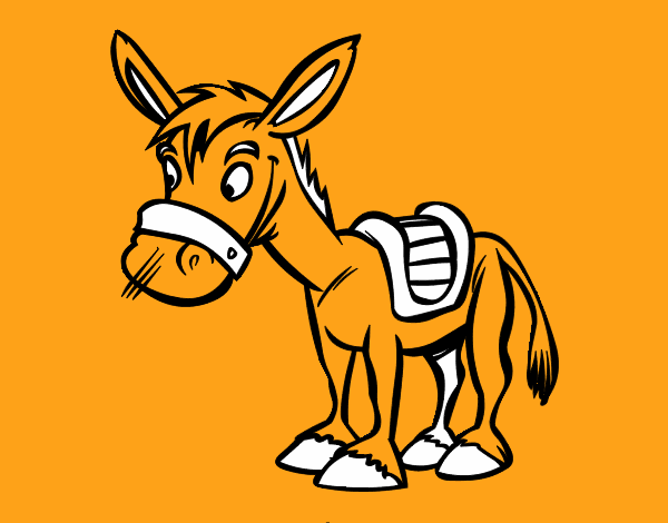 Burro de granja