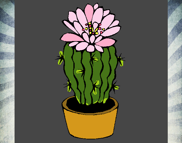 Cactus con flor