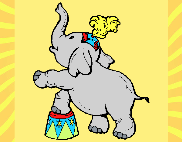 Elefante