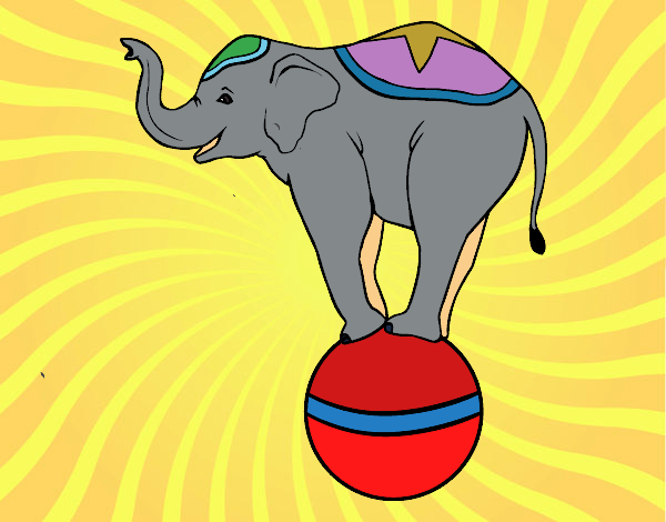 Elefante equilibrista