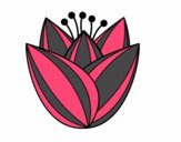 Dibujo Flor de tulipán pintado por luldech