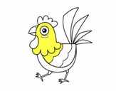 Gallina de granja