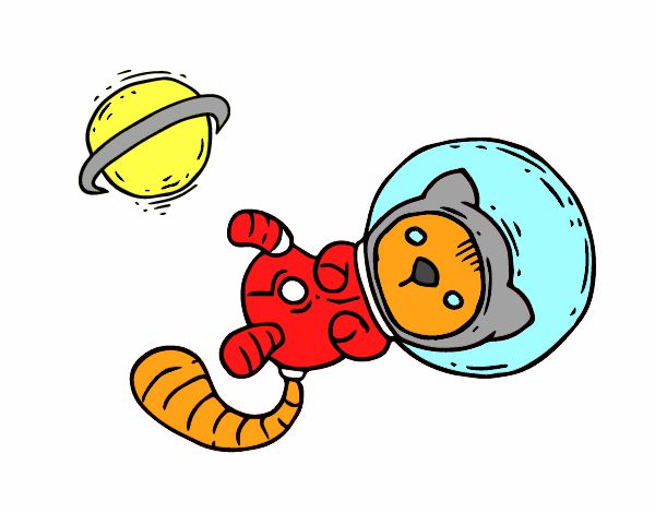 Gatito astronauta