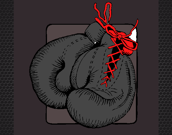 Dibujo Guantes de boxeo pintado por sergiomesa