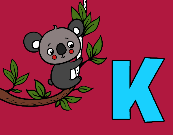 K de Koala