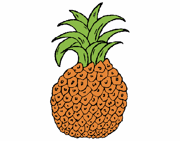 piña