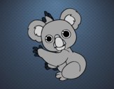 Un Koala