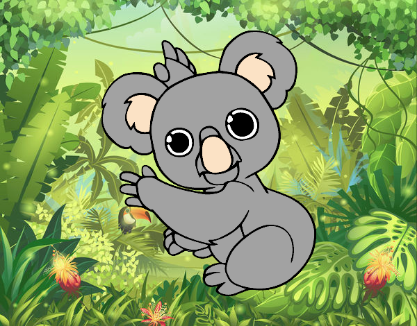 Un Koala