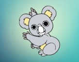 Un Koala