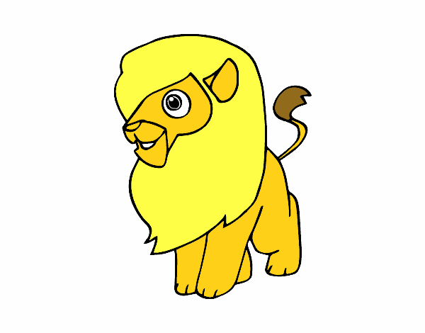 Un león