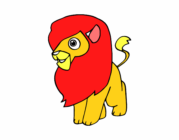 Un león