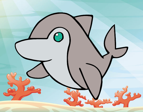 delfin kawaii