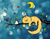 El gato y la luna