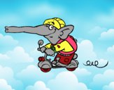 Elefante en moto