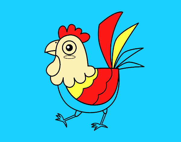 Gallina de granja