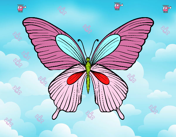 Dibujo Mariposa tropical pintado por joel8888
