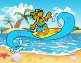 Perro surfeando