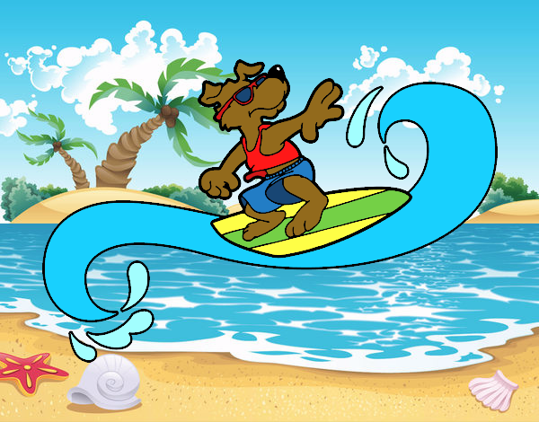 Perro surfeando