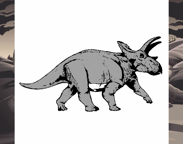 Triceratops 1