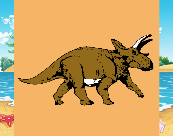 Triceratops 1