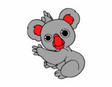 Un Koala