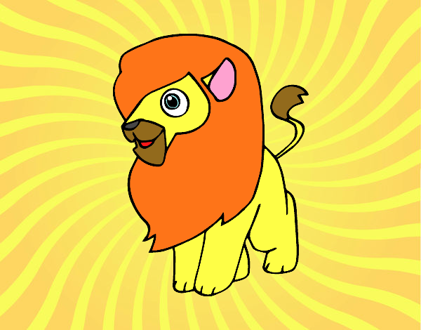 Un león