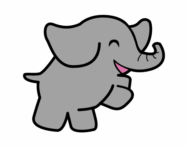 elefante