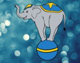Dibujo Elefante equilibrista pintado por andy2016