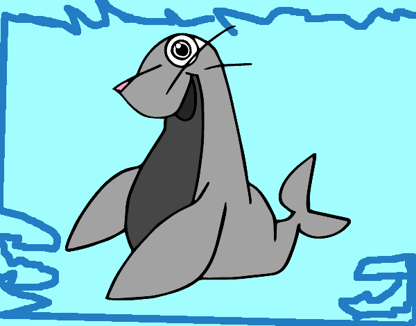 Foca monje