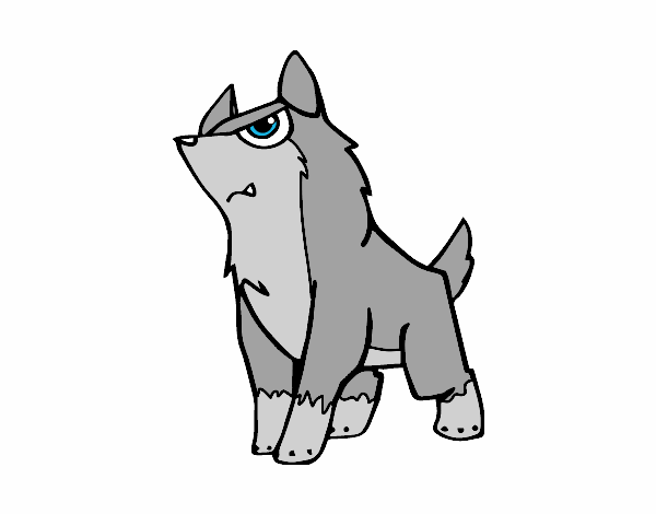 Lobo gris