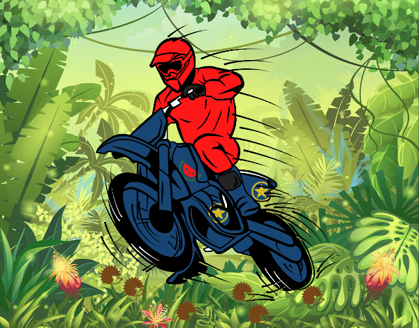 Dibujo Moto de motocross pintado por Tenochrey