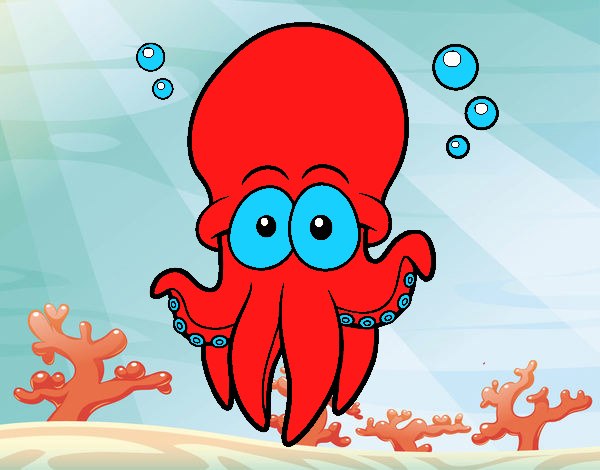 Pulpo rojo