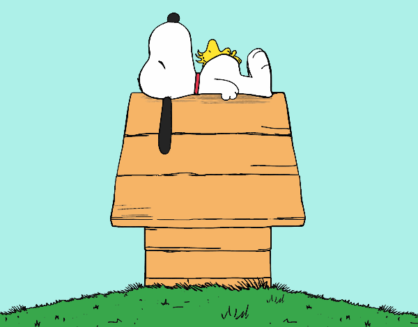 Snoopy durmiendo