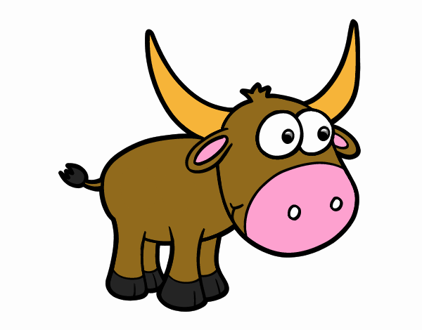 Torito