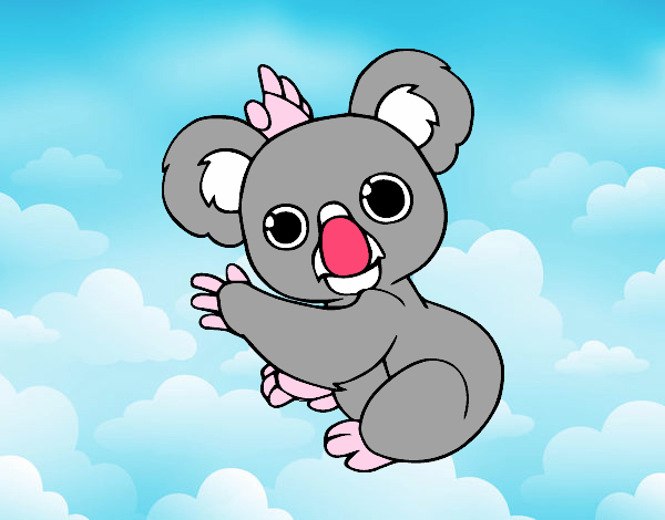 Un Koala