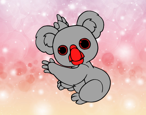 Un Koala