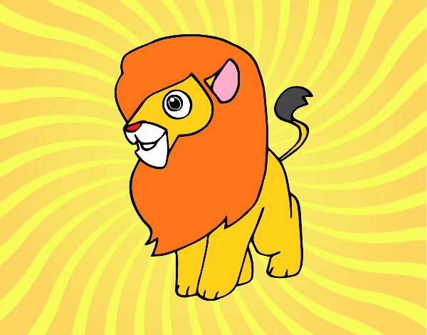 Un león