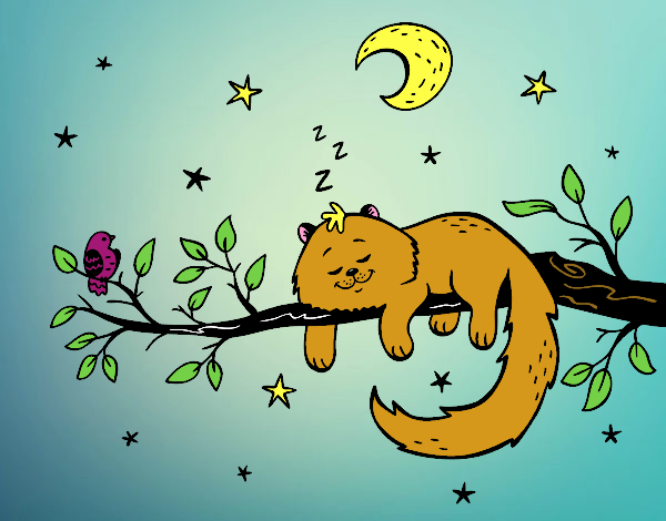 El gato y la luna