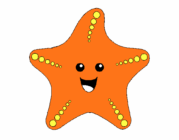 Estrella de mar 1