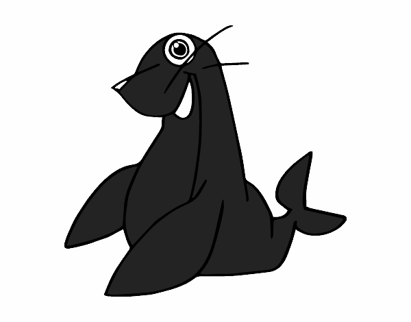 Foca monje