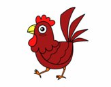 Gallina de granja