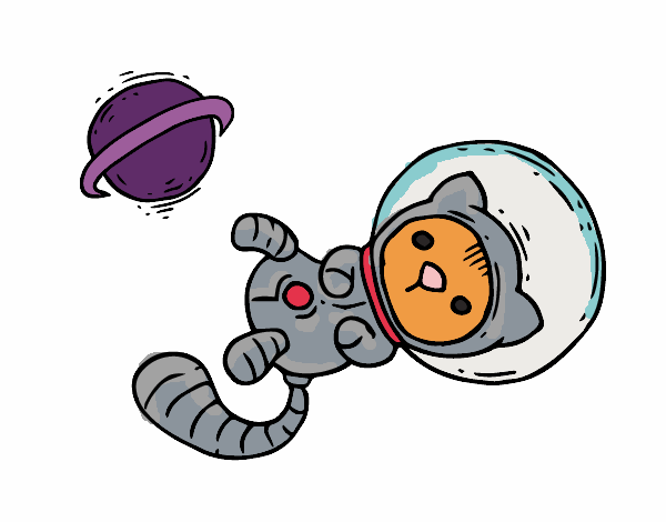 Gatito astronauta