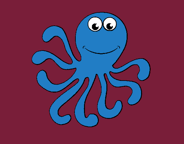 Pulpo 2