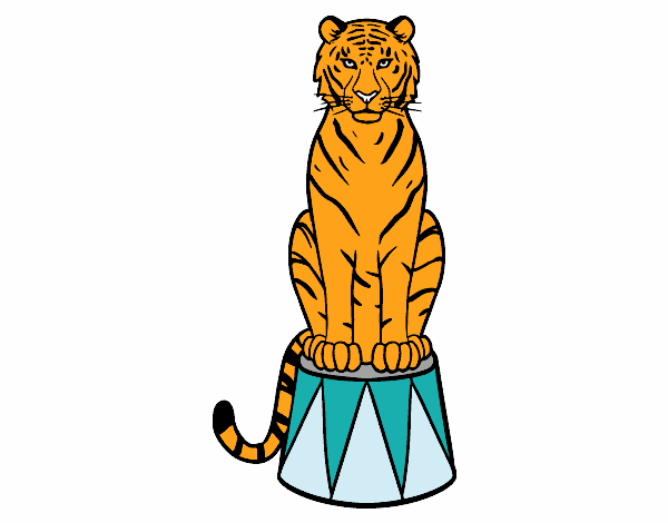 Dibujo Tigre de circo pintado por rebecasanc