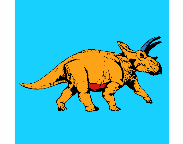 Triceratops 1