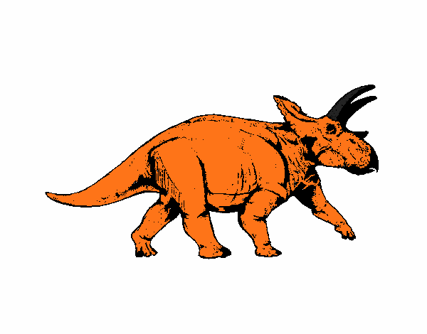 Triceratops 1