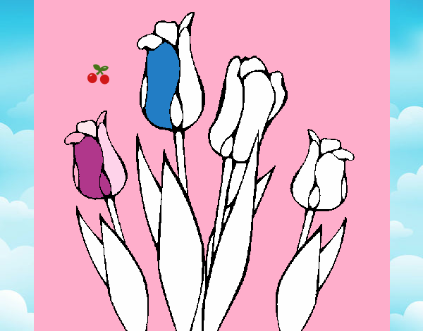 Tulipanes