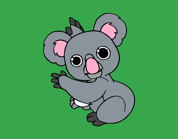 Un Koala