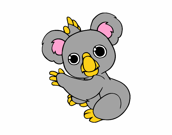 Un Koala