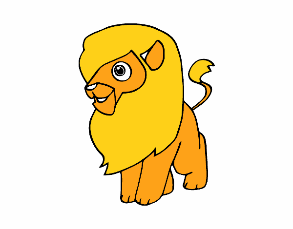 Un león